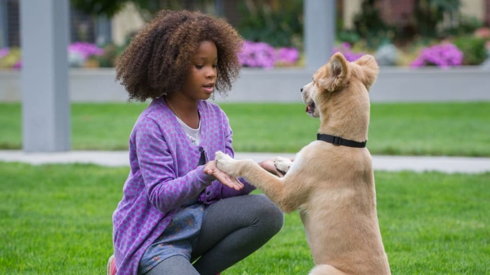 Annie 6